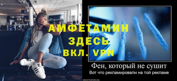 индика Богородицк