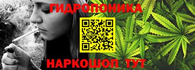 ГАЛЛЮЦИНОГЕННЫЕ ГРИБЫ Балахна