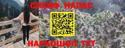 apvp Гусиноозёрск