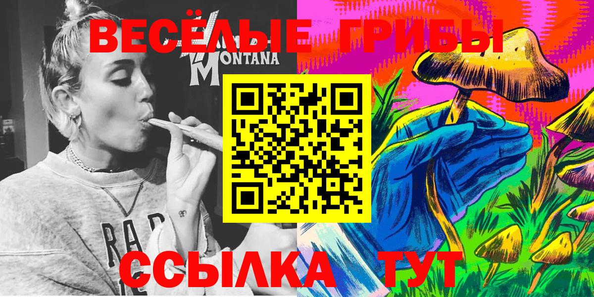Минусинск  сколько стоит  Вход с VPN  Псилоцибиновые грибы Cubensis 