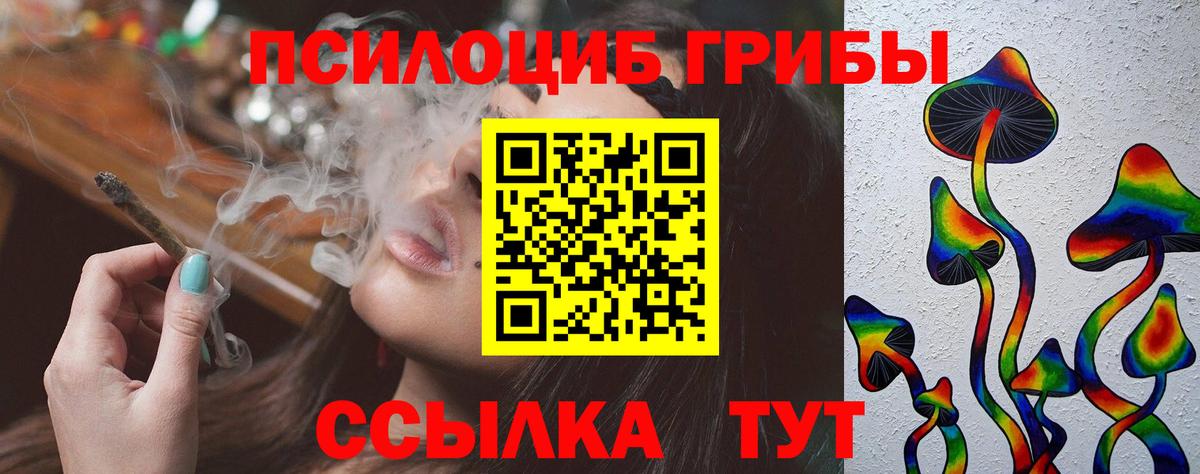 Псилоцибиновые грибы Cubensis  Минусинск 